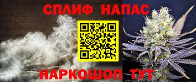 спиды Заводоуковск