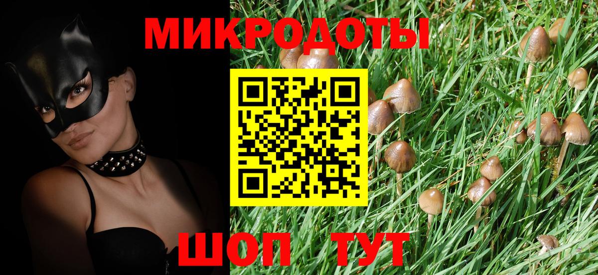 Псилоцибиновые грибы мухоморы Домодедово